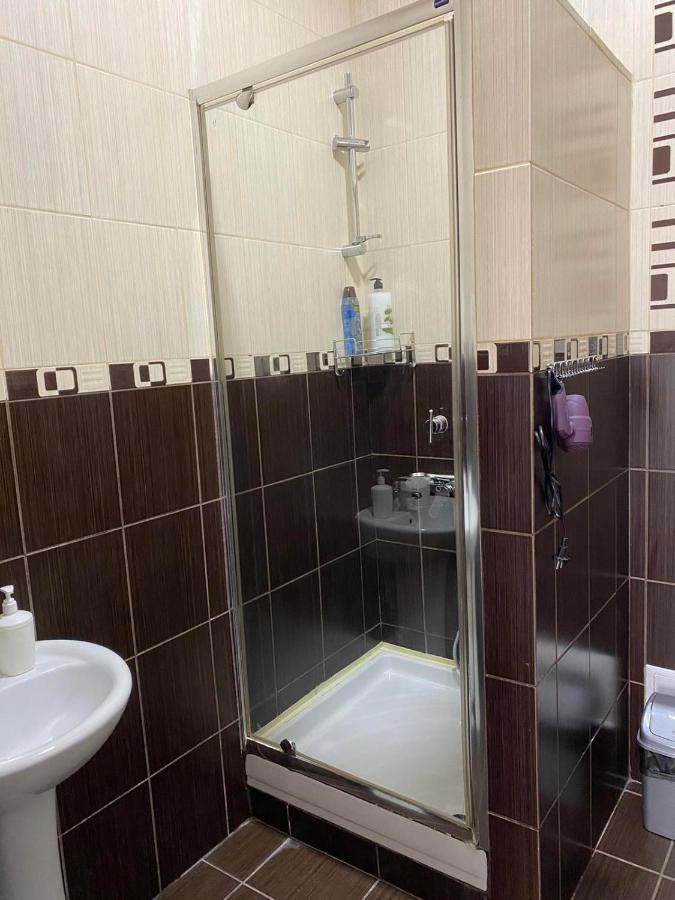 2 Bedroom On Tomashivskogo Street 7 公寓 *